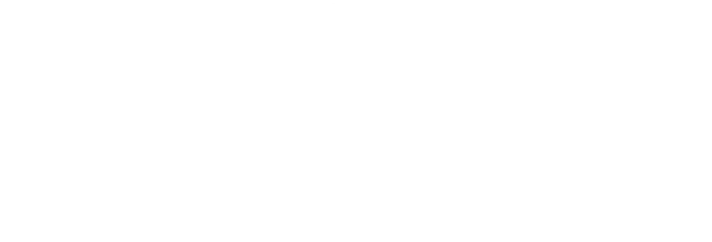 Logo "bronner Fuhrparkkonzepte"